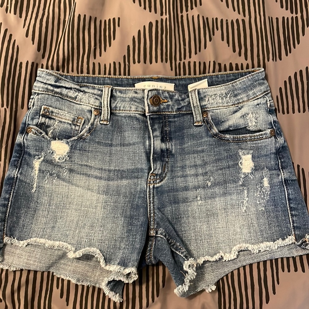 Distressed Jean Shorts